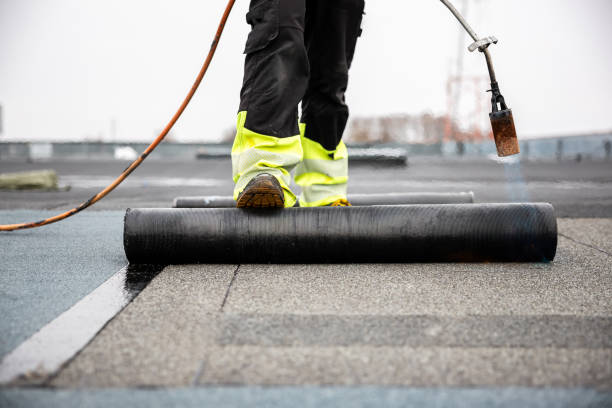 Best Asphalt Shingle Roofing  in Adwolf, VA